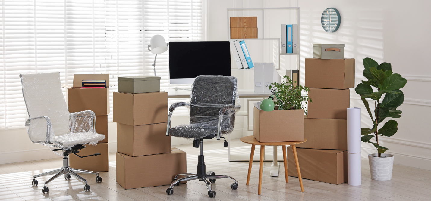 Projekt bez nazwy – 2026-02-24T185519.249