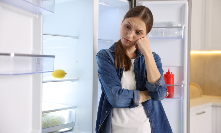 przeprowadzka lodówki